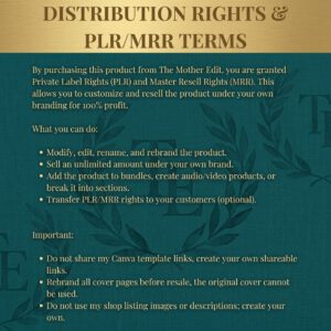 Faceless Creator Starter Kit | PLR & MRR Digital Products